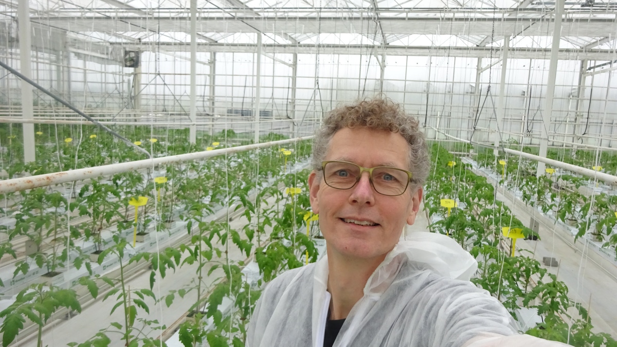 Handmatige Groentehakker met Grote Capaciteit en Efficiëntie voor