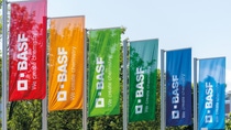 BASF-Fahnen am Standort Ludwigshafen BASF-Fahnen am Standort Ludwigshafen