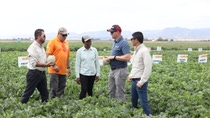 group of people taking in fields