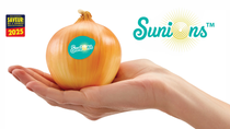 L'oignon SUNIONS® reconnu Saveur de l'Année 2025 !

Une grande fierté pour le SUNIONS® qui a non seulement été reconnu pour son côté innovant (facilité d’usage, pas de larmes) mais aussi pour son côté gustatif (doux, aussi bon cru que cuit) qui a été largement plébiscité par le jury de consommateurs. Nous avons obtenu une note globale de 17/20 !