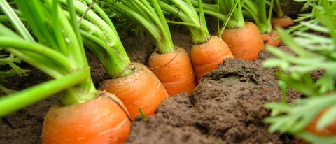 © momenttom.com © momenttom.com