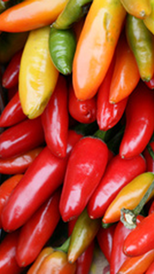 Red and yellow chilli peppers