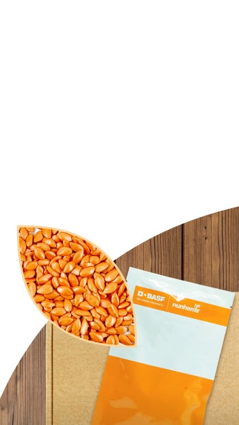 Vegetables People Love