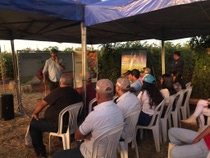 Tomate Vitreo em Araguari - MG .jpeg Tomate Vitreo em Araguari - MG .jpeg