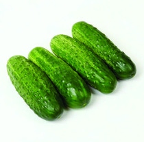 Pickling Cucumber