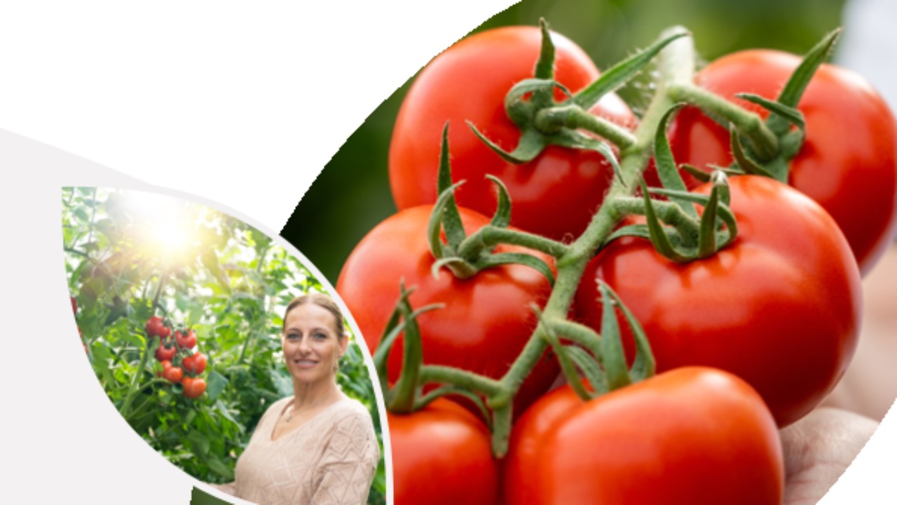 Descargar catálogo comercial