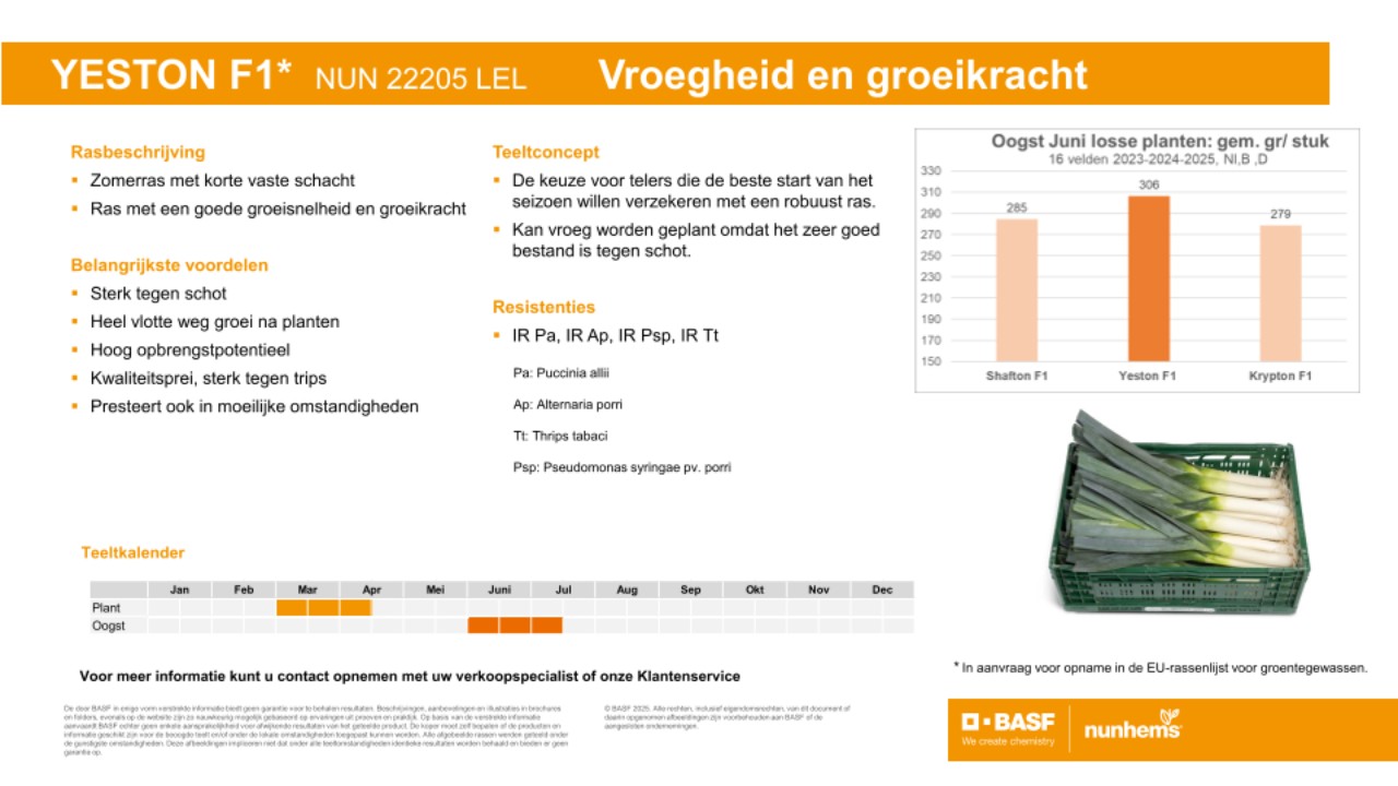 Yeston F1* Yeston F1*