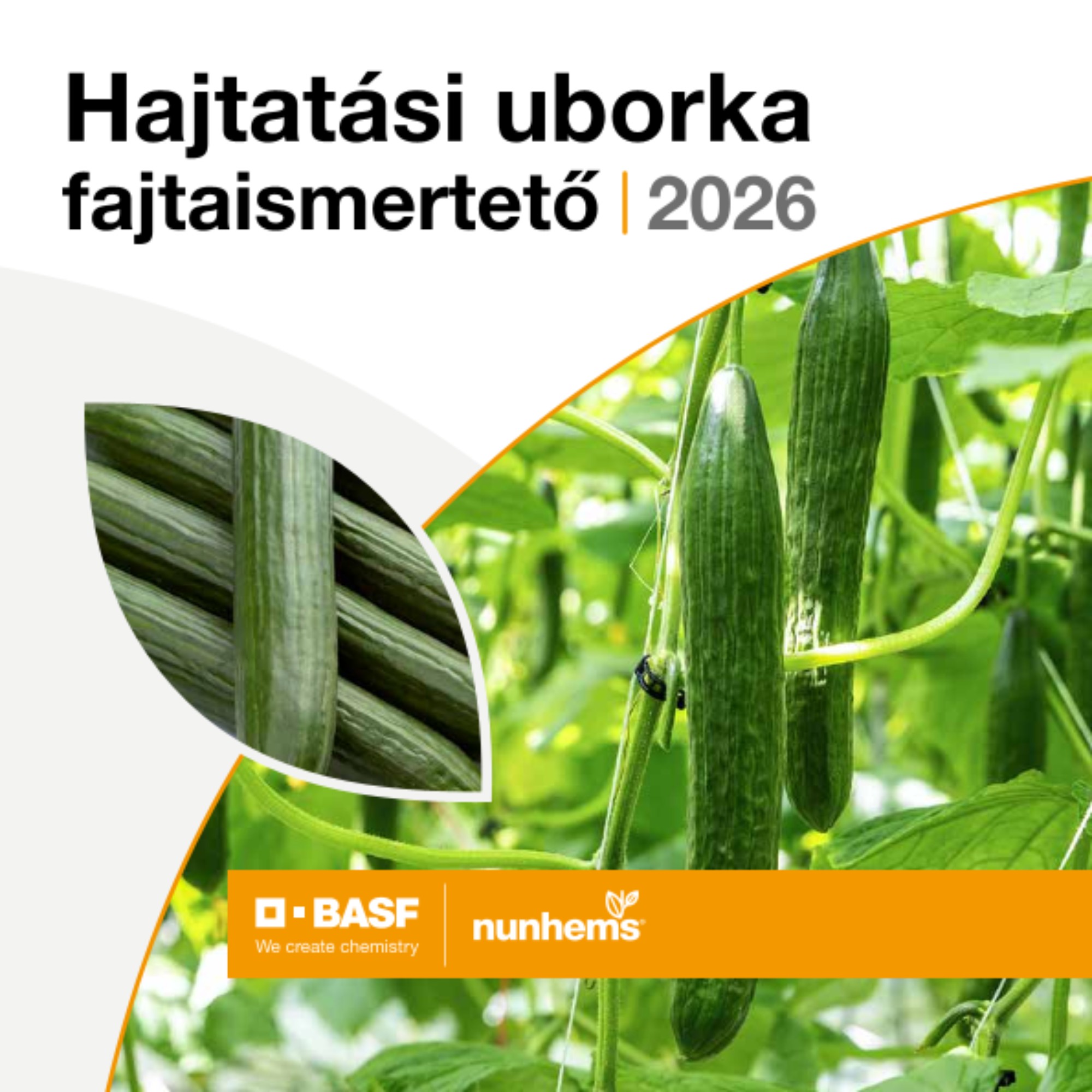 A BASF Nunhems 2026-os hajtatási uborka katalógusa. Tartalmazza a kígyó-, mini- és új hibrid fajták részletes leírását, terméshozamát, jellemzőit és betegség-ellenállóságát.